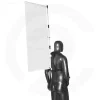 Popman bandera